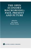 Open Economy Macromodel: Past, Present and Future