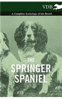 The Springer Spaniel - A Complete Anthology of the Breed: (English)