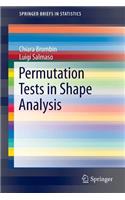 Permutation Tests in Shape Analysis