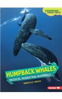 Humpback Whales: Musical Migrating Mammals