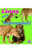 Lions Are Awesome!