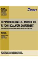 Expanding Our Understanding of the Psychosocial Work Environment