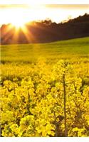 MindBlowing Yellow Rapeseed Sunset Journal: 150 page lined journal