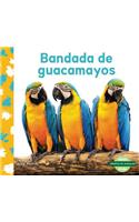 Bandada de Guacamayos (Macaw Flock)