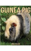 Guinea Pig: Children Book of Fun Facts & Amazing Photos on Animals in Nature - A Wonderful Guinea Pig Book for Kids aged 3-7