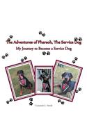 Adventures of Pharaoh, the Service Dog