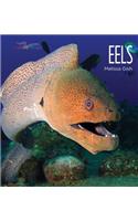Eels