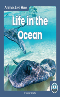 Life in the Ocean: (Animals Live Here)