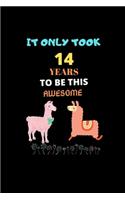 It Only Took 14 Years to be this Awesome