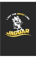 I got the moves like jaguar