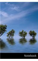 Notebook: Natur, Sommer, See, Spiegelung Notizbuch / Tagebuch / Schreibheft / Notizen - 6 x 9 Zoll (15,24 x 22,86 cm), 150 Seiten, glänzende Oberfläche.