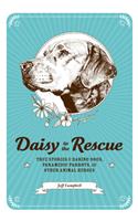 Daisy to the Rescue: True Stories of Daring Dogs, Paramedic Parrots, and Other Animal Heroes