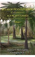 Atlas of Pennsylvanian (Carboniferous) Age Plant Fossils of the Central Appalachian Coalfields