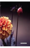 Floral Journal - Dahlia Flower - (Unruled)