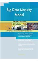 Big Data Maturity Model: A Hands-On Tutorial