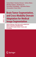 Brain Tumor Segmentation, and Cross-Modality Domain Adaptation for Medical Image Segmentation