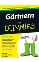 Gartnern fur Dummies