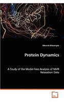 Protein Dynamics - A Study of the Model-free Analysis of NMR Relaxation Data