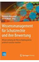 Wissensmanagement Für Schutzrechte Und Ihre Bewertung