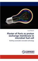 Plaster of Paris as proton exchange membrane in microbial fuel cell