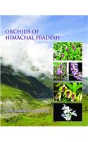 Orchids of Himachal Pradesh