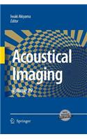 Acoustical Imaging