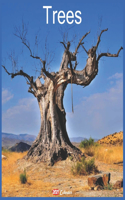 Trees 2021 Calendar