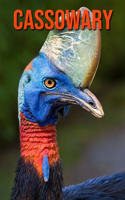 Cassowary: Fun Facts & Cool Pictures