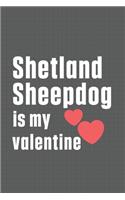 Shetland Sheepdog is my valentine: For Sheltie Dog Fans