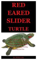 Red Eared Slider Turtle