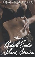 Adult Erotic Short Stories - Volume 3