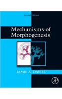 Mechanisms of Morphogenesis