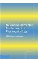 Neurodevelopmental Mechanisms in Psychopathology
