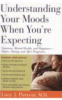 Understanding Your Moods When You're Expecting: Emotions, Mental Health, and Happiness -- Before, During, and After Pregnancy