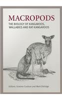 Macropods