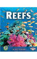 Reefs