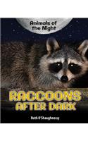 Raccoons After Dark