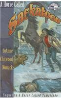 Horse Called Saskatoon