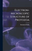Electron-microscopic Structure of Protozoa