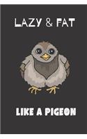 Lazy & Fat Like a pigeon