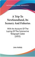 A Trip To Newfoundland, Its Scenery And Fisheries