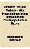 Our Native Ferns and Their Alies; With Synoptical Descriptions of the American Pteridophyta North of Mexico