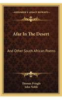 Afar In The Desert