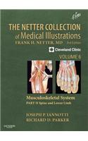 The Netter Collection of Medical Illustrations: Musculoskeletal System, Volume 6, Part II - Spine and Lower Limb