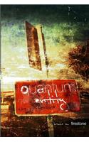 Quantum Entity - The Successors