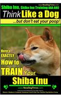 Shiba Inu, Shiba Inu Training AAA AKC