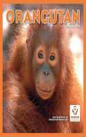 2024 Orangutan Plastic Free Wall