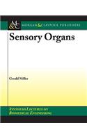 Sensory Organ Replacement and Repair