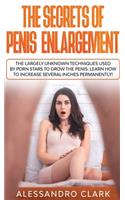 The Secrets of Penis Enlargement