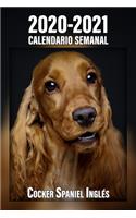 2020-2021 Calendario Semanal Cocker Spaniel Inglés